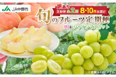 ＜発送月固定定期便＞JA中野市訳ありの＜桃＞川中島白桃2.1kgとシャインマスカット1.3kg全2回_ 桃 シャインマスカット 訳あり 白桃 もも モモ マスカット ぶどう ブドウ 葡萄 果物 フルーツ 定期便 全2回 【4060199】