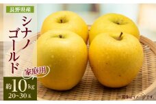 ＜家庭用＞＜2025年発送＞　長野県産 りんご　シナノゴールド　約10kg(20～30玉程度)【1574750】