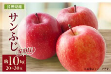 ＜家庭用＞りんごの王様　長野県産 りんご　サンふじ　約10kg(20～30玉程度)【1574738】