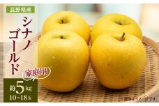 ＜家庭用＞＜2025年発送＞　長野県産 りんご　シナノゴールド　約5kg(10～18玉程度)_ りんご シナノゴールド 林檎 リンゴ 長野県 しなのゴールド シナノ 果物 くだもの フルーツ デザート 不揃い 傷 家庭用 自宅用 産地直送 送料無料 【1574749】