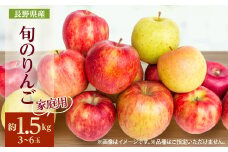 ＜2025年発送＞家庭用　長野県北信州のりんご　約1.5kg(3～6玉)おまかせ1品種_ りんご 林檎 果物 フルーツ くだもの 人気 おすすめ 送料無料 産地直送 長野 信州 家庭用 【1575373】