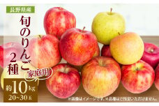 ＜2025年発送＞家庭用　長野県北信州のりんご　約10kg(20～30玉)おまかせ2品種【1575400】