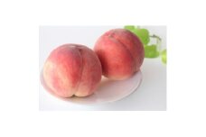 ＜2025年発送＞長野県北信州の桃 約5kg(11～16玉) 品種おまかせ　贈答にもおすすめ【1575724】