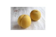 ＜2025年発送＞フルーツ王国　長野県信州直送　黄金桃　約3kg(8～12玉)【1576211】