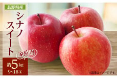 家庭用＜2025年発送＞長野県産 りんご　シナノスイート　約5kg(9～18玉)_ りんご 林檎 シナノスイート フルーツ 果物 くだもの 人気 おすすめ 送料無料 家庭用 産地直送 長野 お取り寄せ 【1576282】