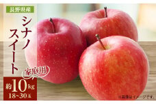 家庭用＜2025年発送＞長野県産 りんご　シナノスイート　約10kg(18～30玉)【1576283】