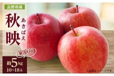 家庭用＜2025年発送＞長野県産 りんご　秋映(あきばえ)　約5kg(10～18玉)_ りんご リンゴ 秋映 あきばえ 林檎 約5kg 長野 長野県 中野市 果物 くだもの フルーツ デザート 果実 青果 家庭用 自宅用 国産 産地直送 送料無料 【1576298】
