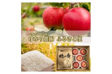 ＜産地直送＞ゆかり農園ふるさと便 お米2kg+りんご(サンふじ)4～6個　詰め合わせ(ご家庭用)【1575853】
