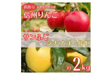＜訳あり＞産地直送　信州りんご(サンふじ+シナノゴールド)2kg (ご家庭用)【1575856】