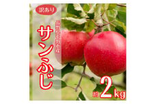 ＜訳あり＞産地直送　信州りんご(サンふじ)2kg (ご家庭用)【1575858】