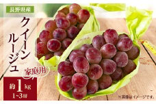 家庭用＜2025年先行受付＞長野限定　信州産クイーンルージュ(赤ぶどう)　約1kg(1～3房)_ クイーンルージュ ぶどう 葡萄 赤ブドウ 果物 くだもの フルーツ 人気 おすすめ 送料無料 産地直送 家庭用 長野 信州 【1576735】