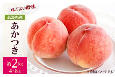 ＜2025年発送＞フルーツ王国　長野県信州直送「旬な桃」　あかつき　約2kg(4～8玉)_ 桃 もも あかつき モモ 長野県 信州 甘い 果物 くだもの フルーツ デザート 贈答 ギフト プレゼント 贈り物 国産 産地直送 送料無料 【1577361】