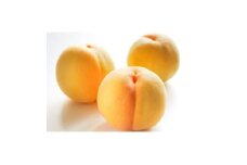 ＜2025年発送＞フルーツ王国　長野県産　北信州　桃　滝の沢ゴールド　約2kg(4～8玉)【1577363】