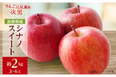 ＜2025年発送＞フルーツ王国　長野県産 りんご　シナノスイート　約2kg(3～6玉程度)【1577400】
