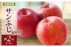 ＜家庭用＞りんごの王様　長野県産 りんご　サンふじ　約2kg(3～6玉程度)_ りんご 林檎 果物 フルーツ くだもの 人気 おすすめ 送料無料 産地直送 長野 信州 サンふじ 【1577414】