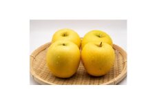 ＜2025年発送＞ 長野県産 りんご シナノゴールド 約2kg(3～5玉程度)【1577419】