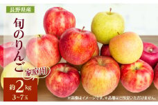 ＜2025年発送＞家庭用 長野県北信州のりんご 約2kg(3～7玉) おまかせ1品種_ りんご 林檎 果物 フルーツ くだもの 人気 おすすめ 送料無料 産地直送 長野 信州 【1577442】