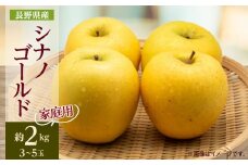 ＜家庭用＞＜2025年発送＞ 長野県産 りんご シナノゴールド 約2kg(3～5玉程度)【1577423】