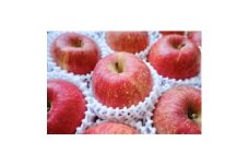 ＜2025年発送＞長野県 北信州のりんご 約2kg(3～7玉) おまかせ1品種 贈答におすすめ_ りんご 林檎 果物 フルーツ くだもの 人気 おすすめ 送料無料 産地直送 長野 信州 【1577441】