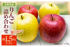 ＜2025年発送＞ りんご サンふじ&シナノゴールド 詰め合わせ 約1.5kg(3～5玉程度)【1577879】