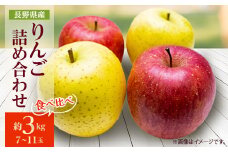 ＜2025年発送＞長野県産 りんご サンふじ&シナノゴールド 詰め合わせ 約3kg(7～11玉程度)【1577897】