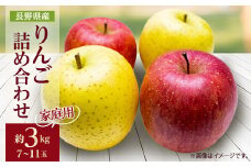 家庭用 ＜2025年発送＞ りんご サンふじ&シナノゴールド 詰め合わせ 約3kg(7～11玉程度)【1577932】