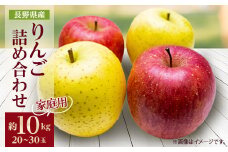 家庭用＜2025年発送＞ りんご サンふじ&シナノゴールド 詰め合わせ 約10kg(20～30玉)【1577938】