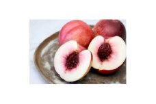 ＜2025年発送＞長野県　信州直送　ネクタリン　約2kg(4～8玉)_ 桃 もも 果物 フルーツ くだもの 人気 おすすめ 送料無料 産地直送 長野 信州 ネクタリン 【1578529】