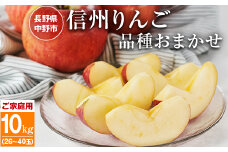 ご家庭用 信州りんご 10kg(26～40玉)【1582130】