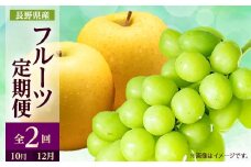 ＜発送月固定定期便＞2025年発送 長野の果物 シャインマスカット+シナノゴールド全2回_ シャインマスカット シナノゴールド りんご 林檎 ぶどう 葡萄 長野県 定期便 全2回 果物 くだもの フルーツ 贈答 ギフト 送料無料 【4063515】