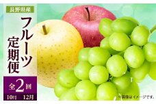 ＜発送月固定定期便＞2025年発送 長野の果物 シャインマスカット+りんご詰め合わせ全2回_ シャインマスカット りんご サンふじ シナノゴールド ぶどう 長野県 定期便 全2回 果物 くだもの フルーツ 贈答 ギフト 送料無料 【4063516】