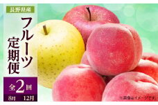 ＜発送月固定定期便＞2025年発送 長野の果物 桃+りんご詰め合わせ全2回【4063519】
