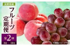 ＜発送月固定定期便＞2025年発送 長野の果物 桃+クイーンルージュ全2回【4063523】