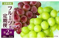 ＜発送月固定定期便＞2025年発送 長野の果物 シャインマスカット+クイーンルージュ全2回_ シャインマスカット クイーンルージュ ぶどう ブドウ 葡萄 マスカット 長野 定期便 全2回 果物 くだもの フルーツ 贈答 送料無料 【4063521】