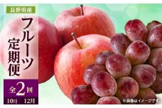＜発送月固定定期便＞2025年発送 長野の果物 クイーンルージュ+サンふじ全2回【4063529】