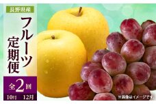 ＜発送月固定定期便＞2025年発送 長野の果物 クイーンルージュ+シナノゴールド全2回【4063531】
