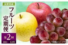 ＜発送月固定定期便＞2025年発送 長野の果物　クイーンルージュ+りんご詰め合わせ全2回【4063532】