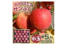 サンふじ 小玉 5kg 23～25玉【1587840】