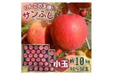 サンふじ 小玉 10kg 43～50玉【1587842】