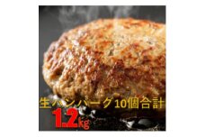 ＜毎月定期便＞和牛入り生ハンバーグ 120g×10個 1.2kg全3回【4064139】