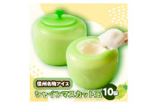 ＜毎月定期便＞信州シャインマスカット玉(105ml×10個)全3回【4064316】