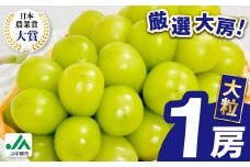 大粒・大房プレミアムシャインマスカット 1房700g以上 長野県中野市から直送【1591368】