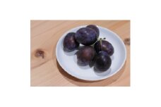 ＜2025年発送＞北信州産地直送　旬のプルーン　約1.2kg【1585439】