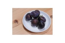 ＜2025年発送＞北信州産地直送　旬のプルーン　約1.2kg【1585439】