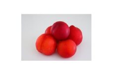 ＜2025年発送＞北信州産直送　プラム(すもも)約1kg(7～12玉入り)【1581757】