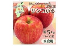 りんご サンつがる 家庭用 約5kg 13～20玉【1647627】