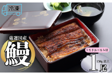 【冷凍配達】 明治37年創業「本多」国産鰻蒲焼1尾（150g以上）・うなぎおつまみ付(Ab-002)