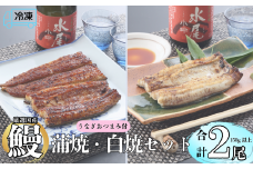 【冷凍配達】明治37年創業「本多」国産鰻蒲焼1尾・白焼1尾（各150g以上）セット・うなぎおつまみ付(Ab-008)