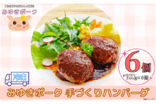 みゆきポーク手作りハンバーグ（6個入り）（Bo-005）