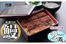 【冷凍配達】明治37年創業「本多」国産鰻蒲焼2尾（150g以上×2）・うなぎおつまみ付(Ab-004)